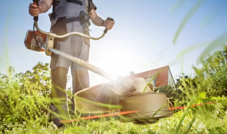 importancia-do-lote-limpo